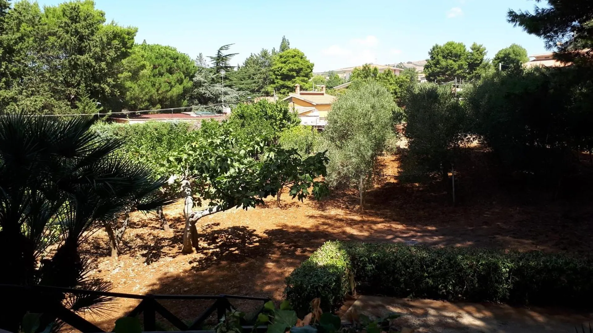 Villa Sofia San Ciro 401 Ulmi